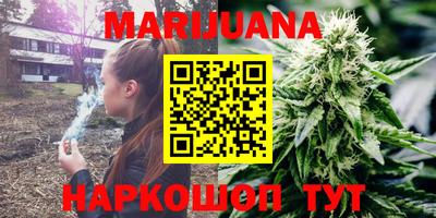 гидропоника Будённовск