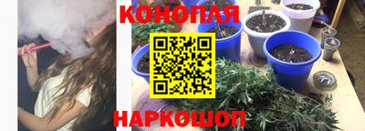 гидропоника Будённовск