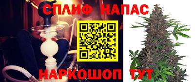 прущие грибы Бузулук