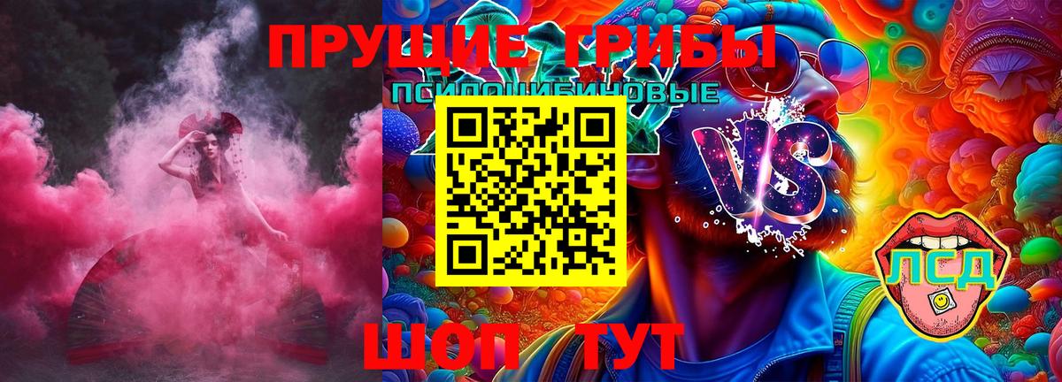 как найти наркотики  Вход с VPN  Галлюциногенные грибы Psilocybine cubensis  Кунгур  Псилоцибиновые грибы MAGIC MUSHROOMS 
